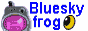 Blueskyfrog